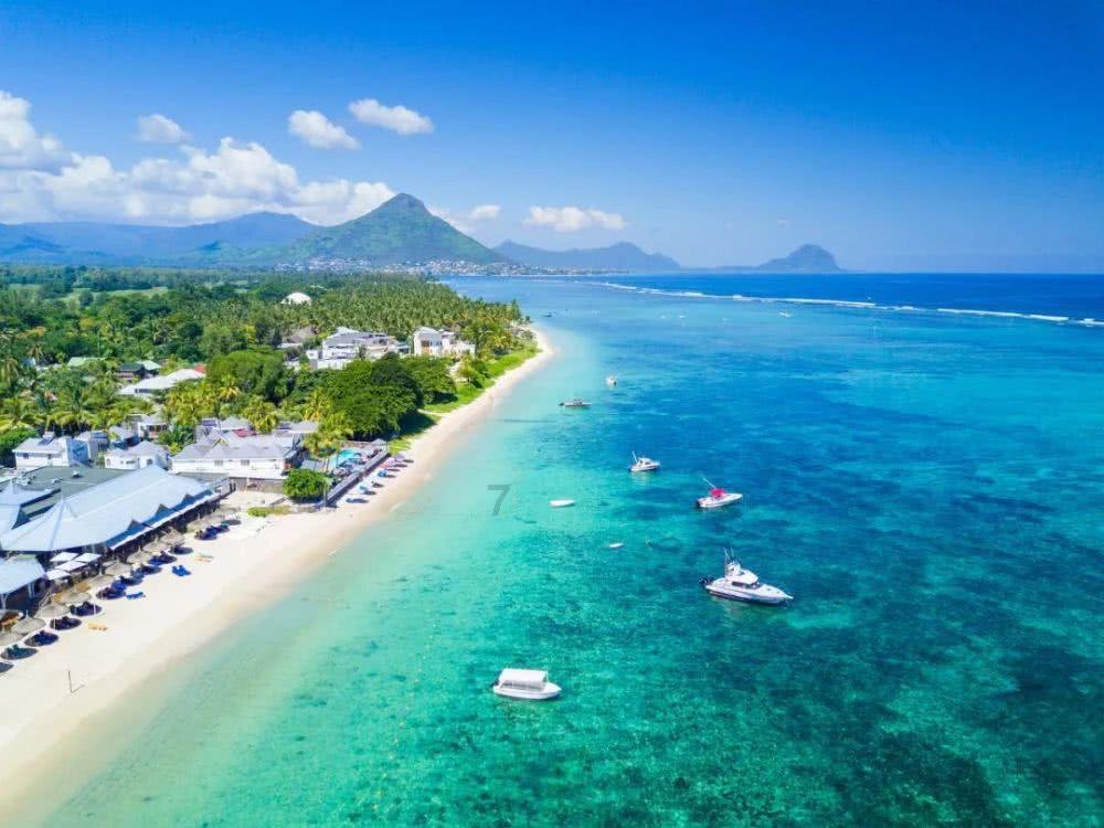 探索智慧之旅,尽在“糖豆广场舞2023免费下载”蜗牛问答平台!